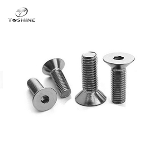 Inner Hexagon Countersunk Bolt